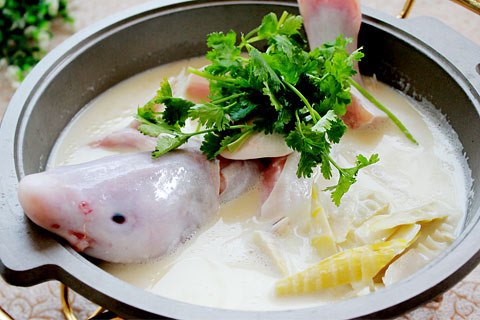 白汤长江鮰鱼