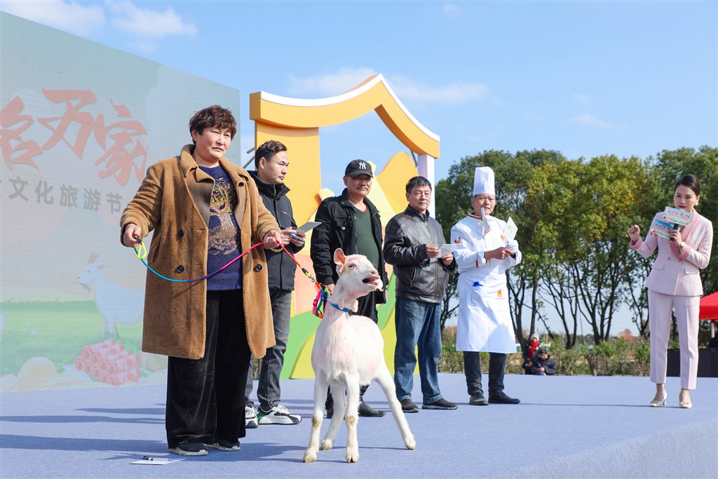 估羊.jpg